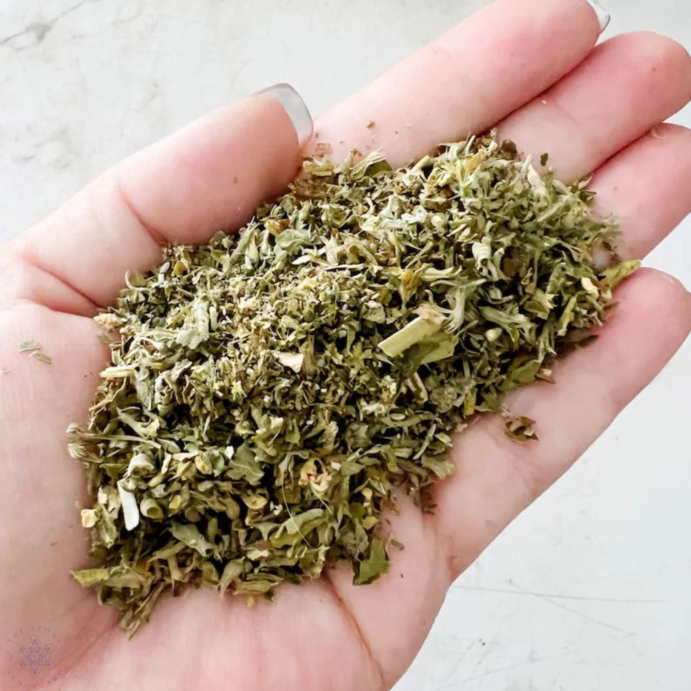 Cataire pour chat – Herbe euphorisante naturelle cultivée en France
