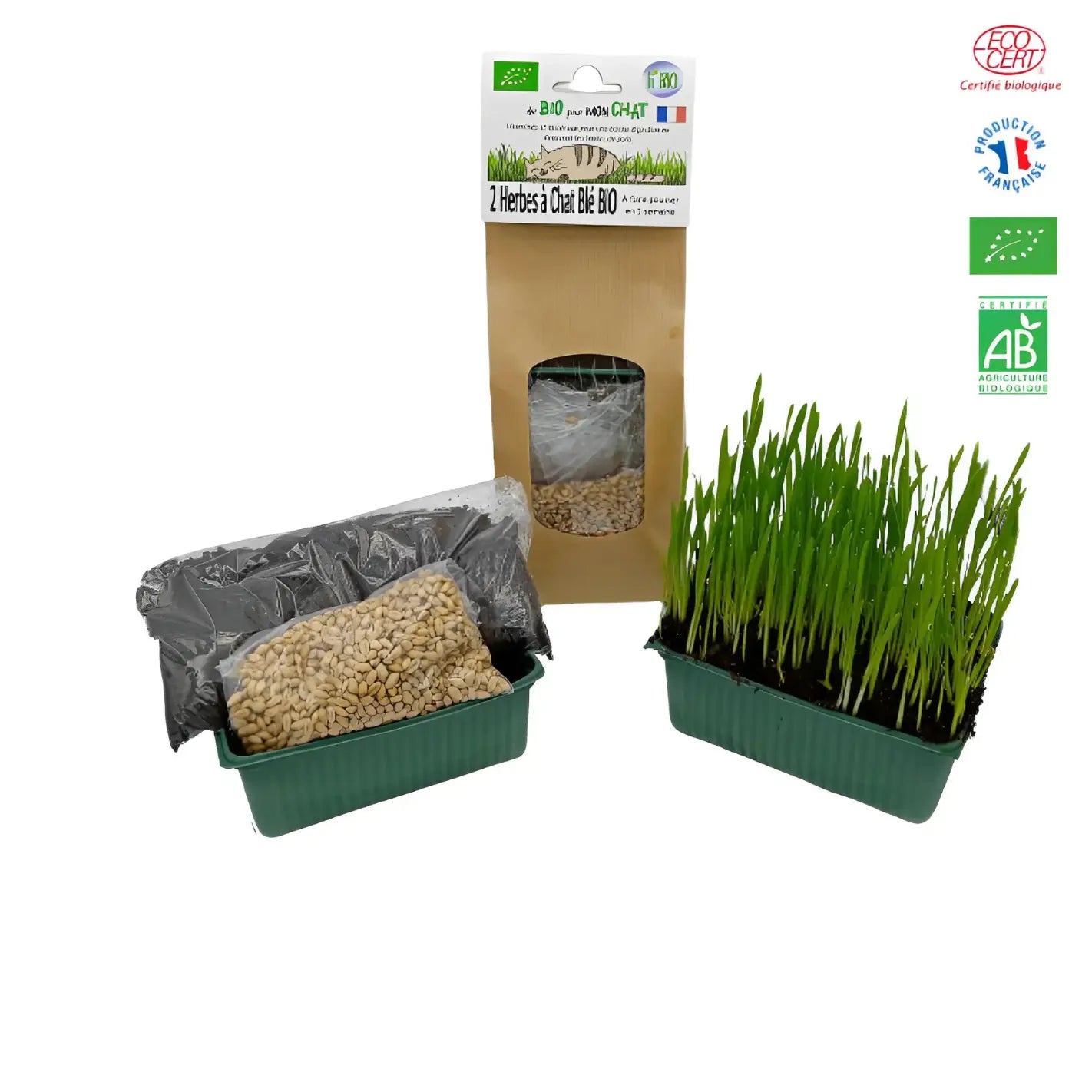 Kit herbe à chat bio et sans pesticide