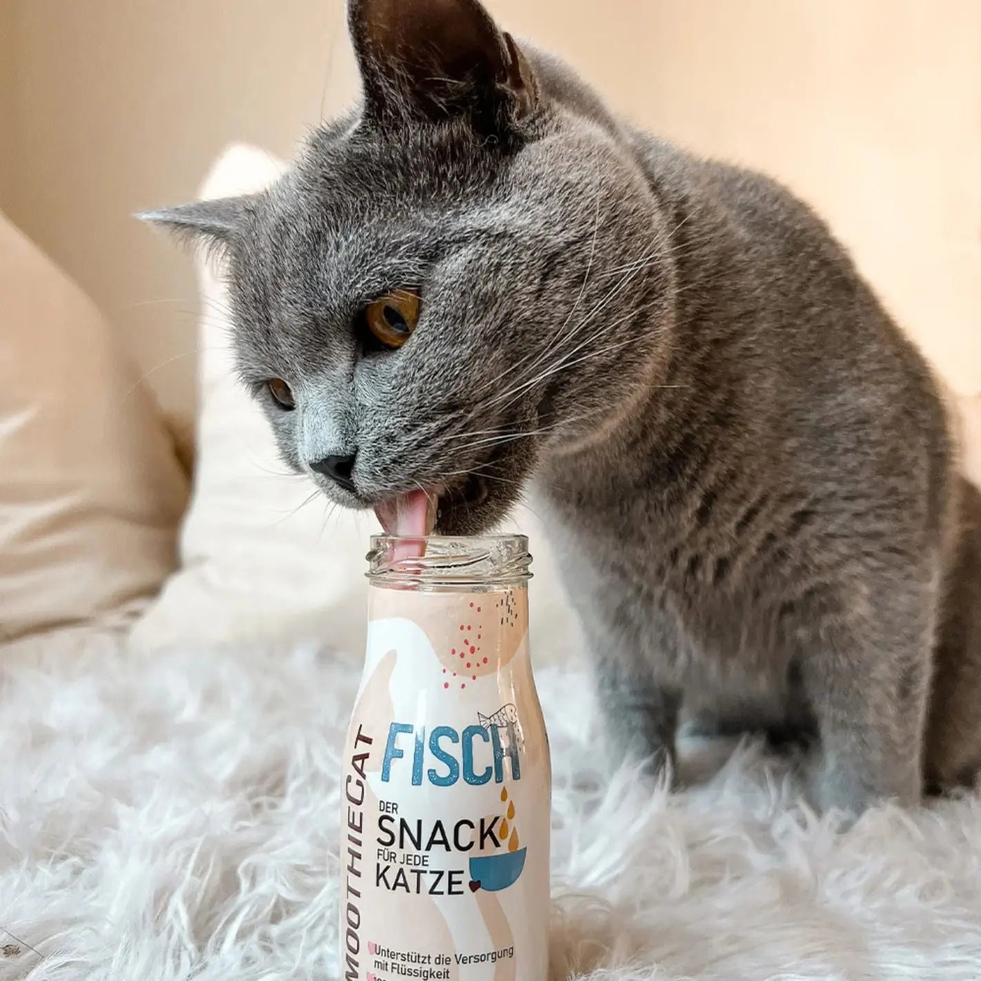 Smoothie pour chat au poisson 100% naturel - 150 ml