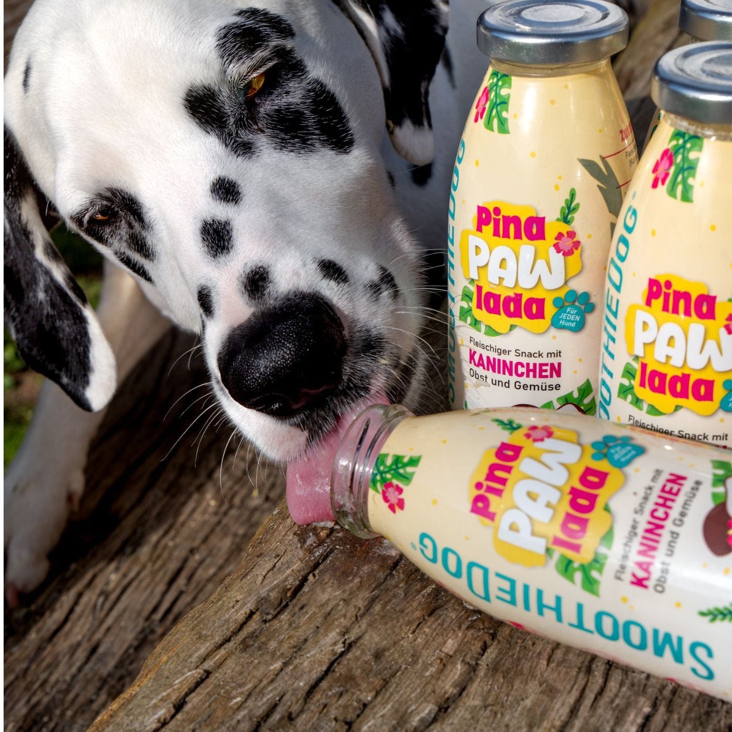 Smoothie pour chien Pinapawlada - Edition limitée été 2025