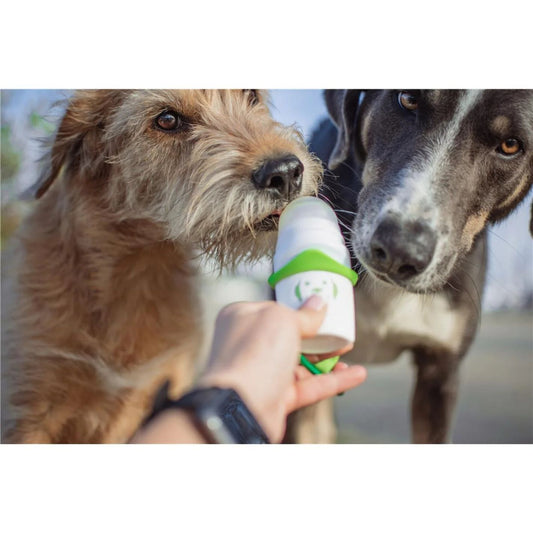 Doggy roller - distributeur de récompenses liquides