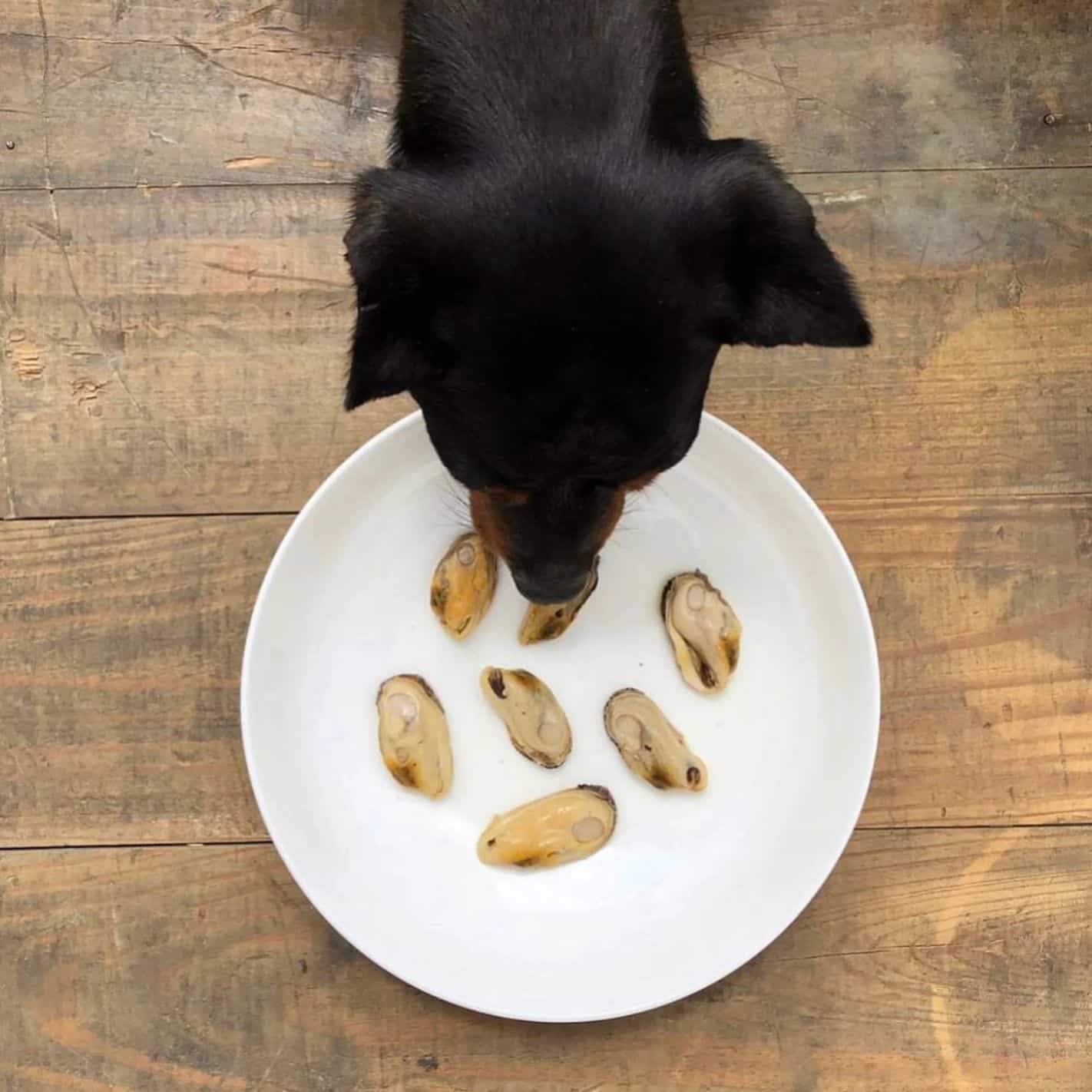 Moules verte sauvage de Nouvelle-Zélande 100% naturel Canumi - 115g