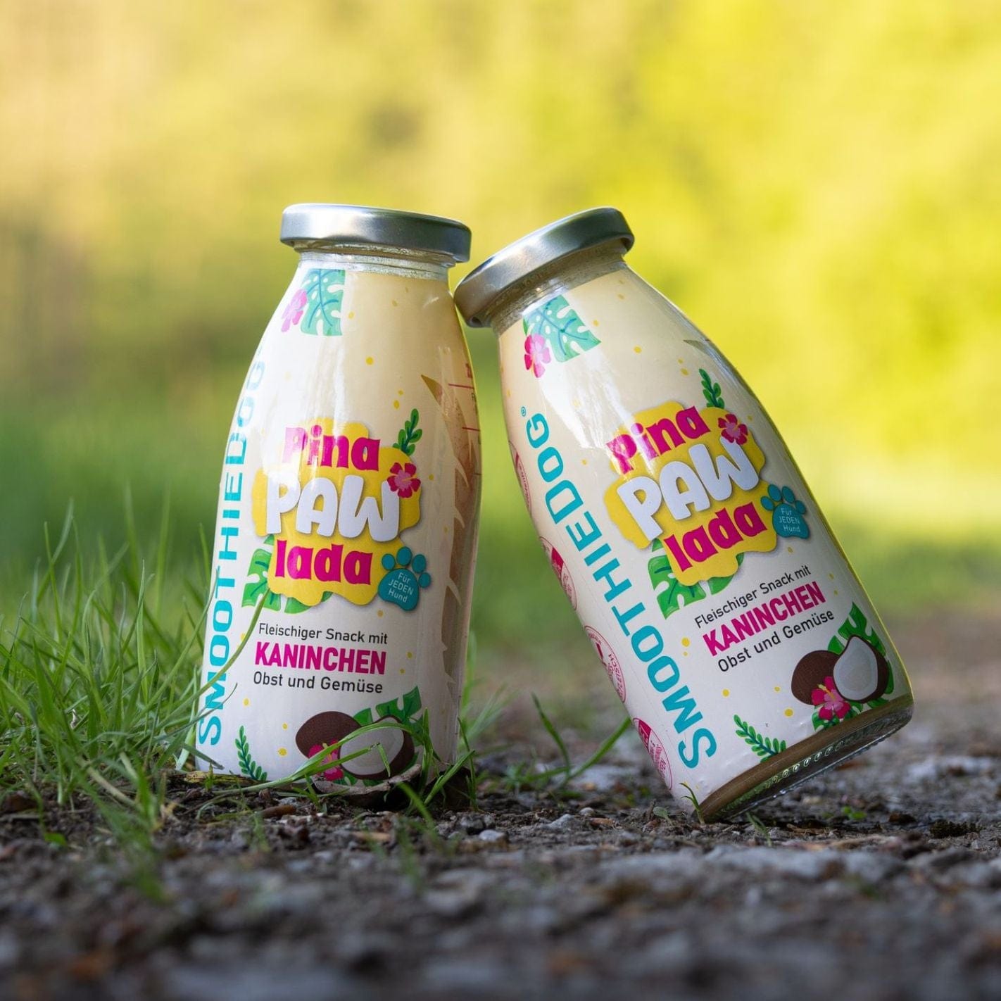 Smoothie pour chien Pinapawlada - Edition limitée été 2025