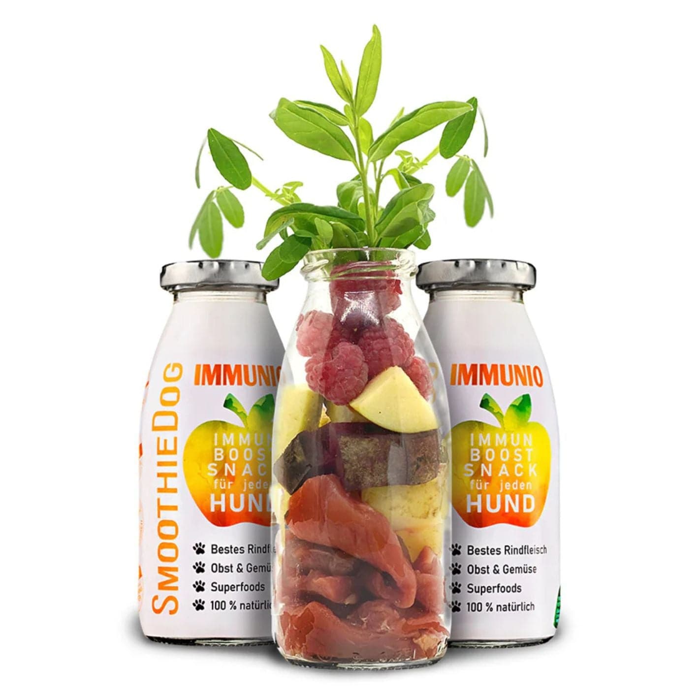 smoothie pour chien au boeuf - 100% naturel