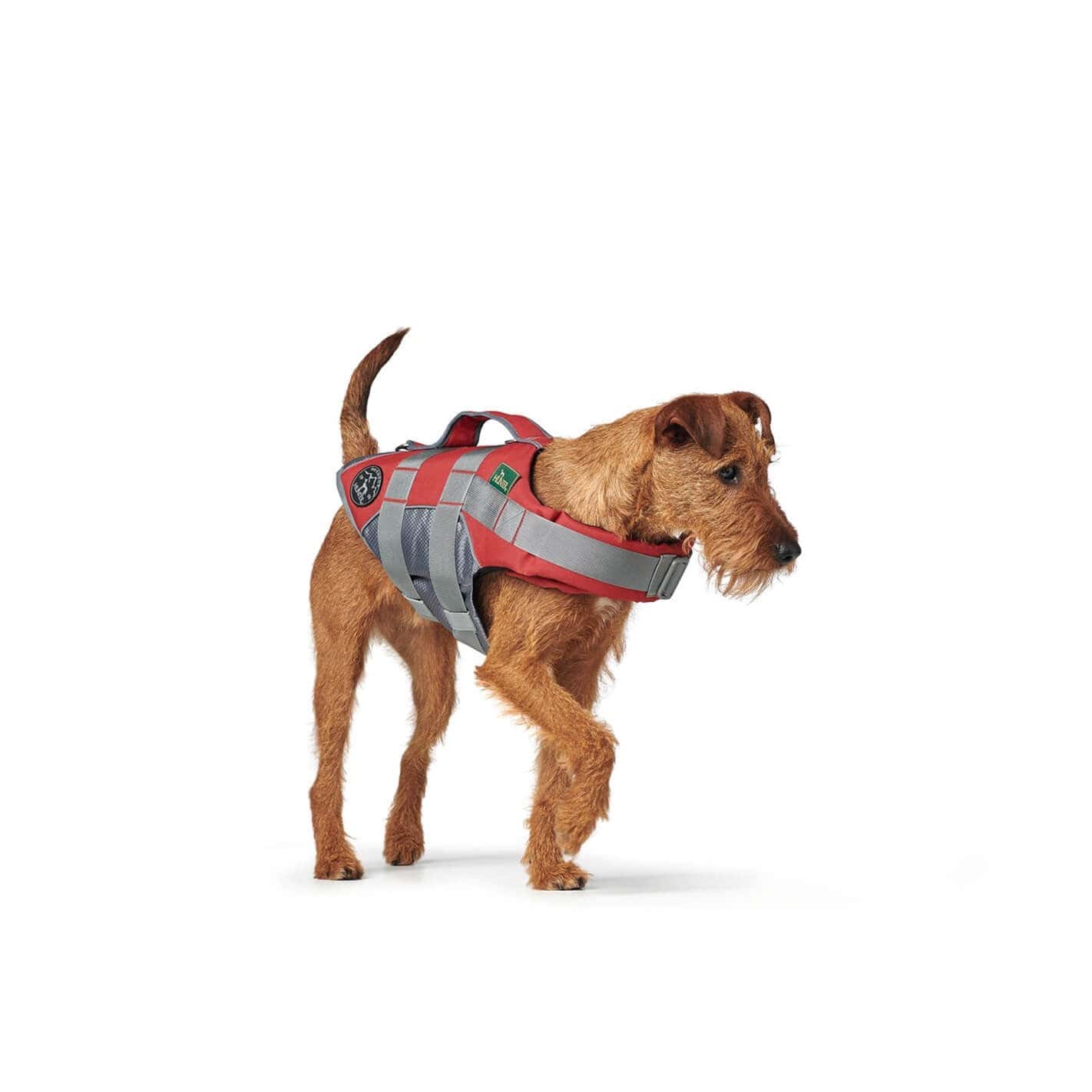 Gilet de sauvetage chien