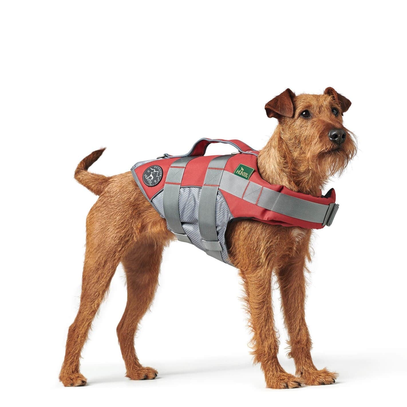 Gilet de sauvetage chien
