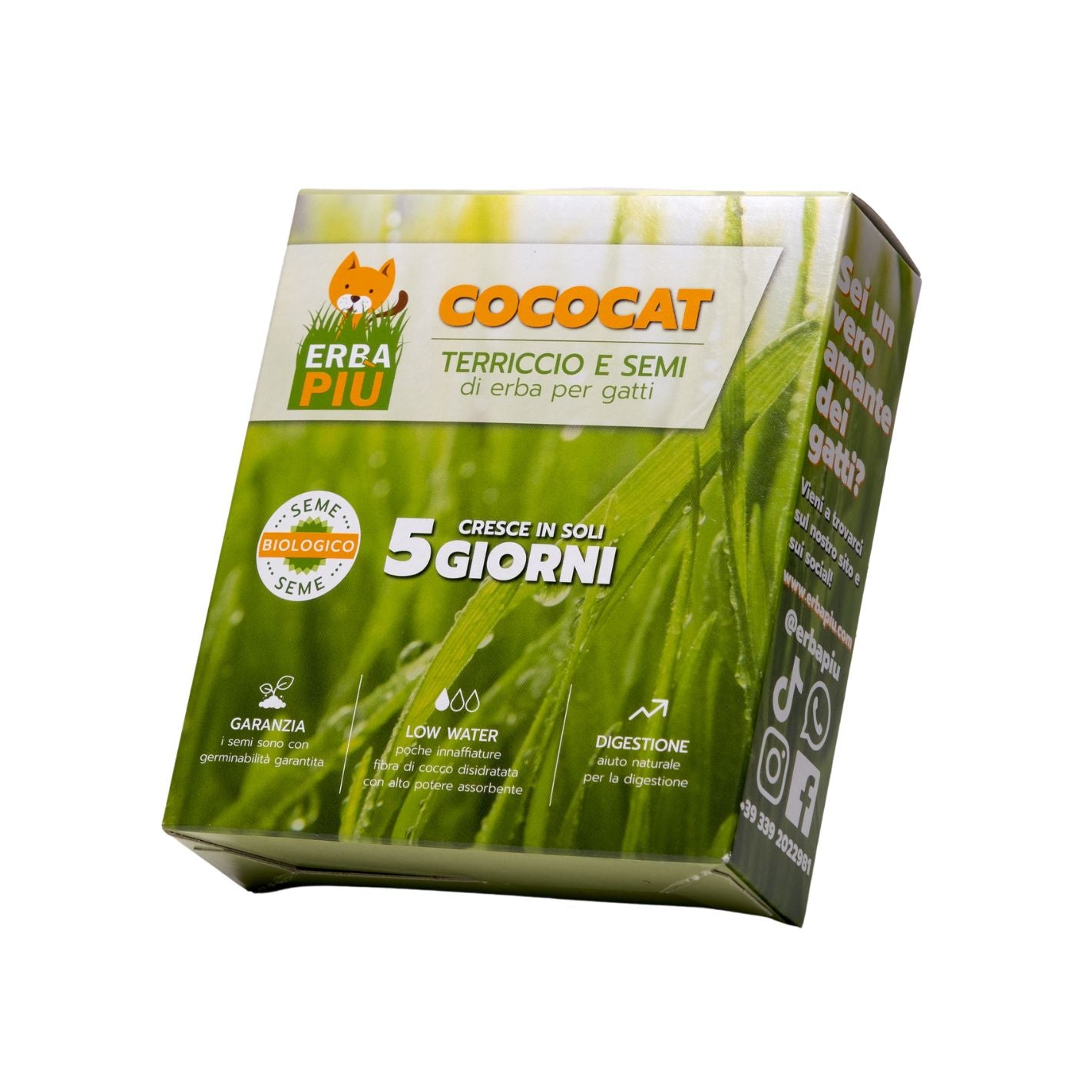 Cococat – Kit graine et coco deshydraté à planter