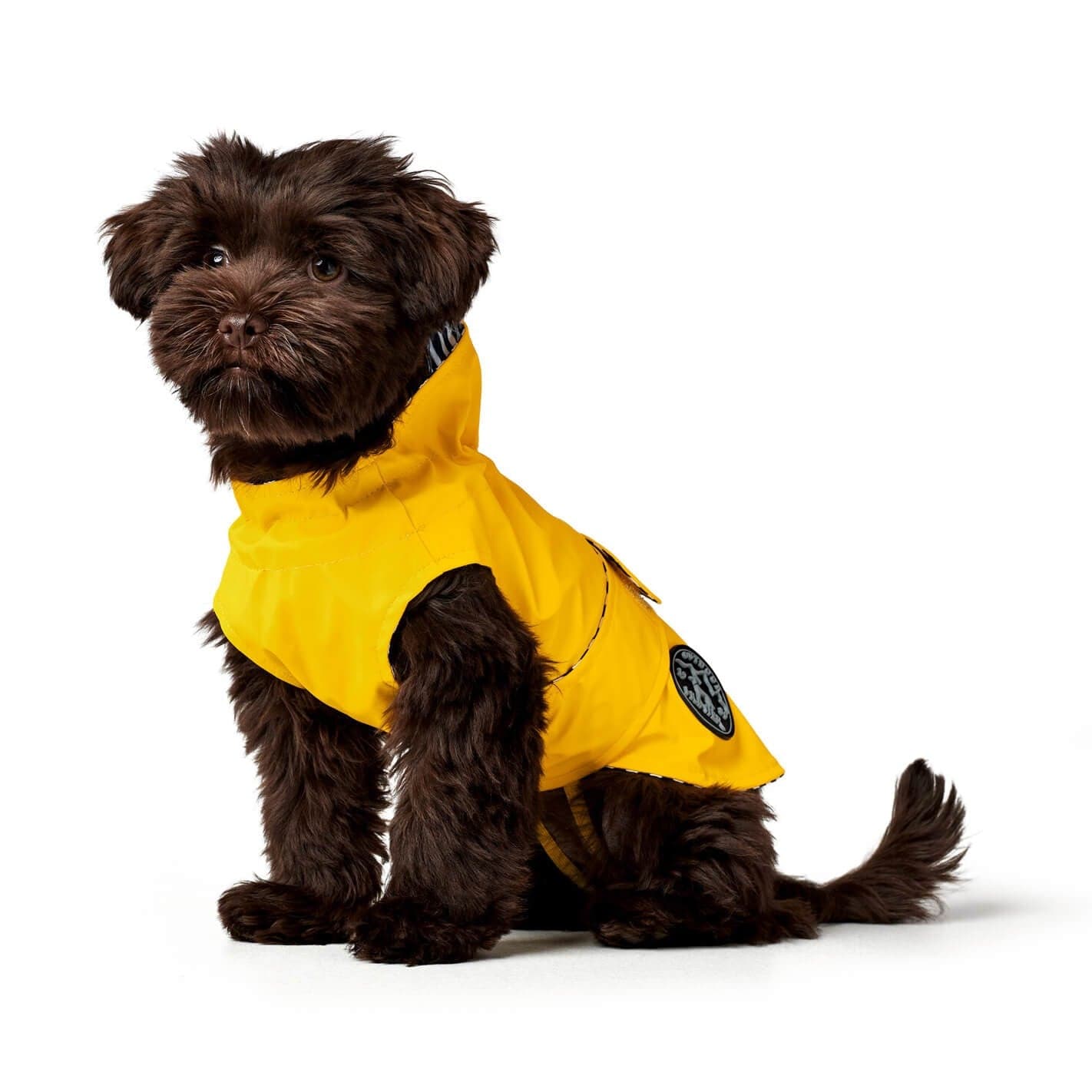Imperméable pour chien