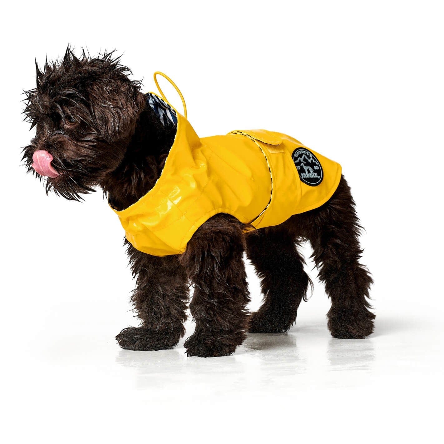 Imperméable pour chien