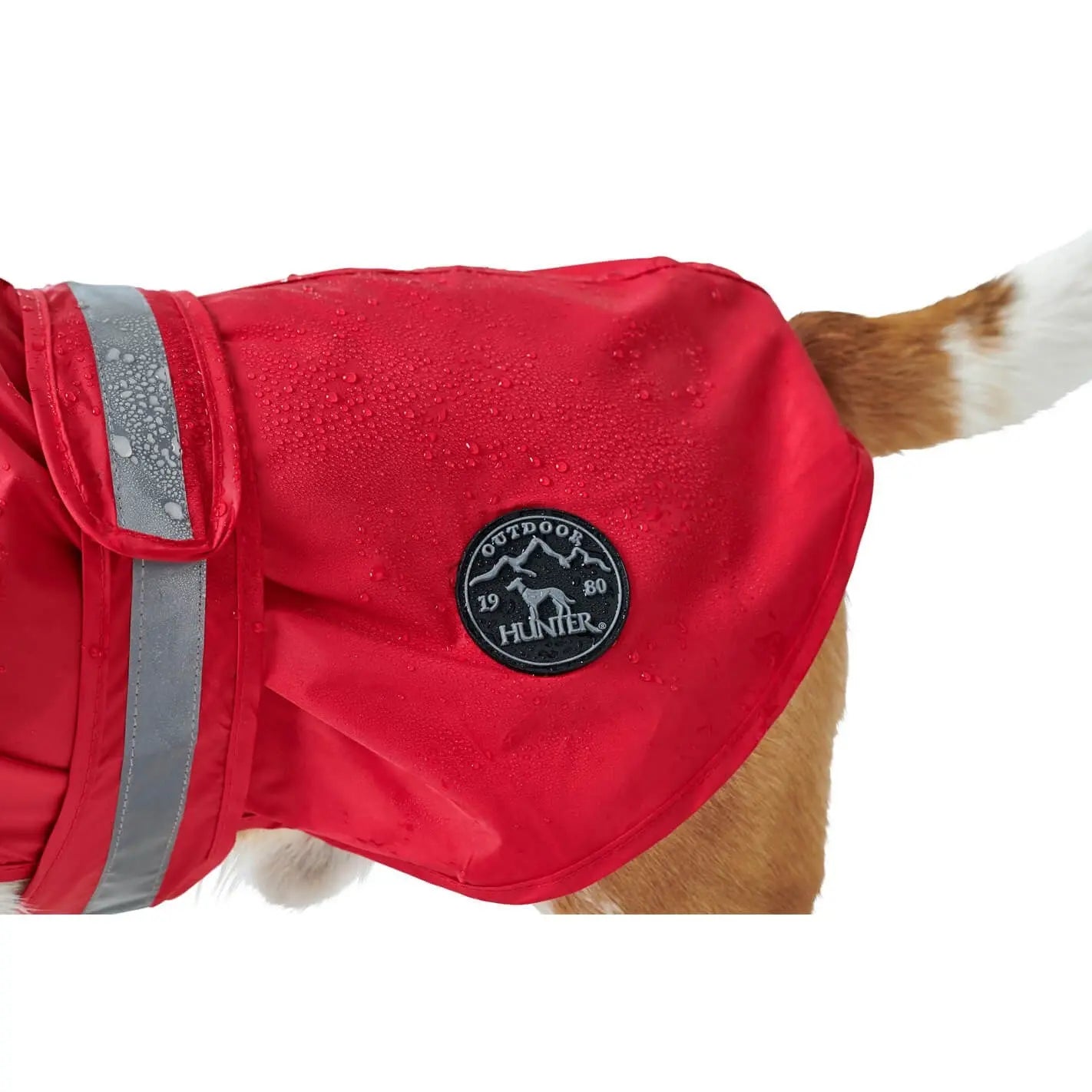 Imperméable pour chien