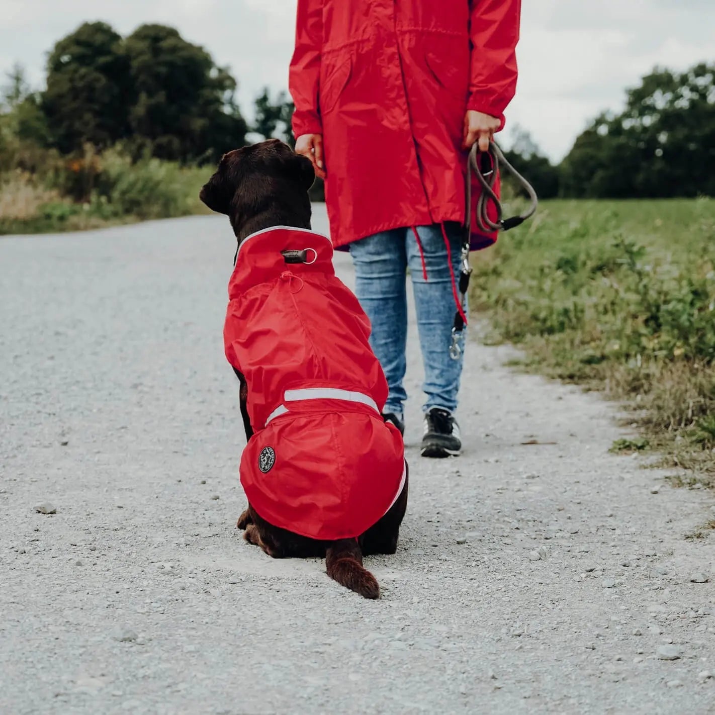 Imperméable pour chien