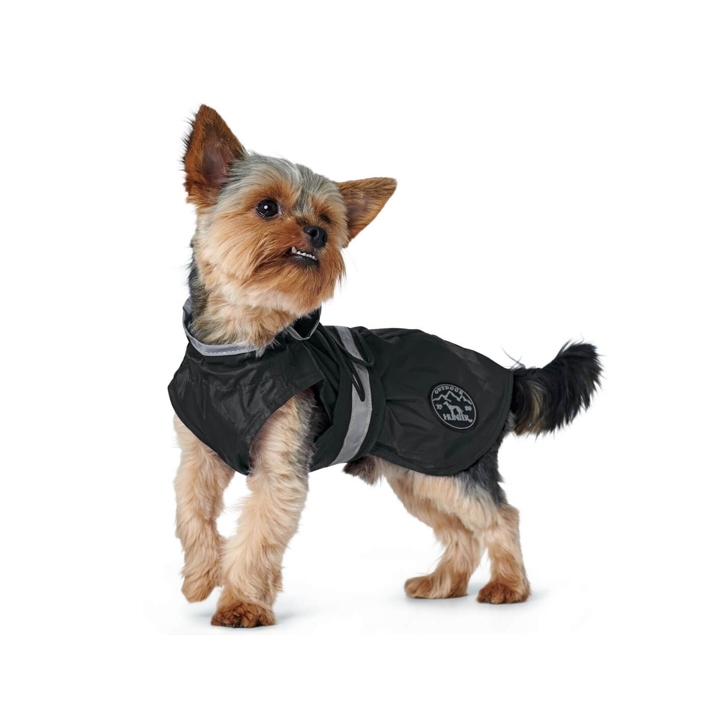 Imperméable pour chien