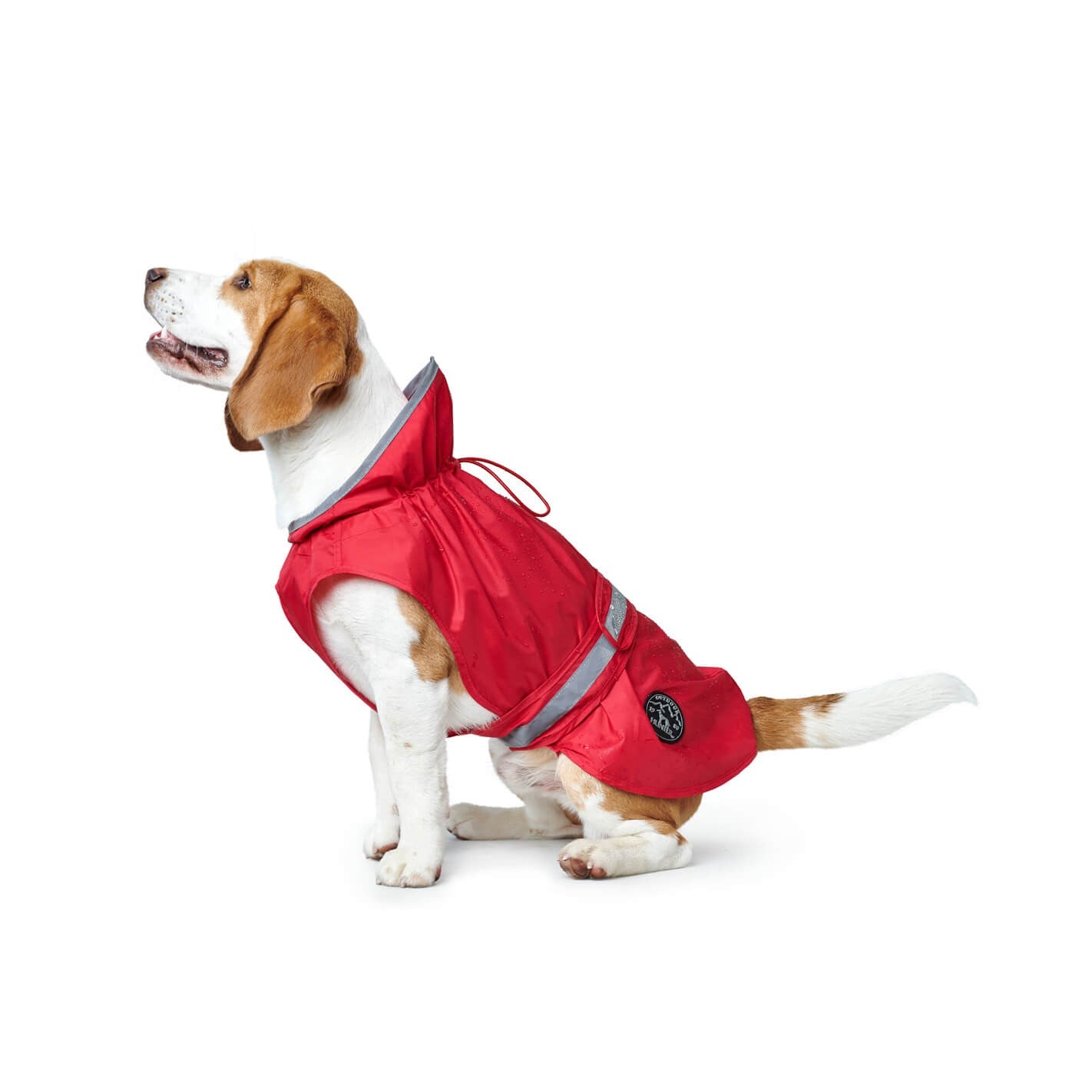Imperméable pour chien