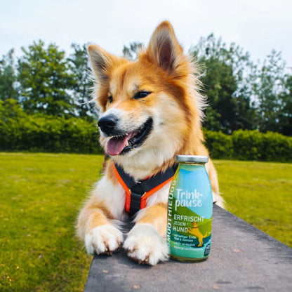Smoothie pour chien au canard 100% naturel - 250ml