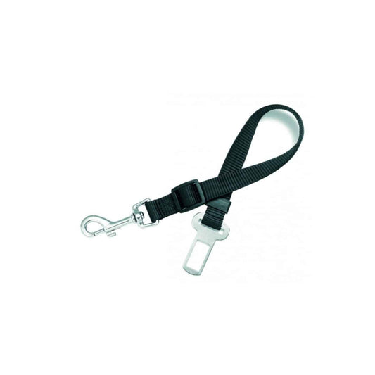 Attache ceinture de sécurité