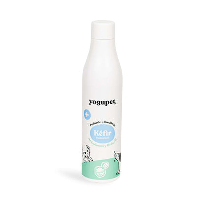 Kéfir sans lactose, myrtilles et brocolis - Yogupet