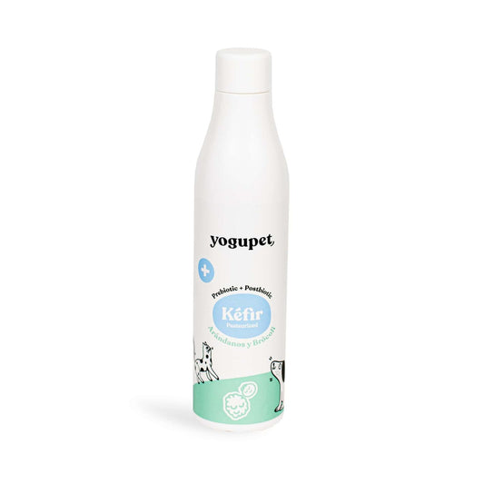 Kéfir sans lactose, myrtilles et brocolis - Yogupet