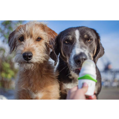 Doggy roller - distributeur de récompenses liquides