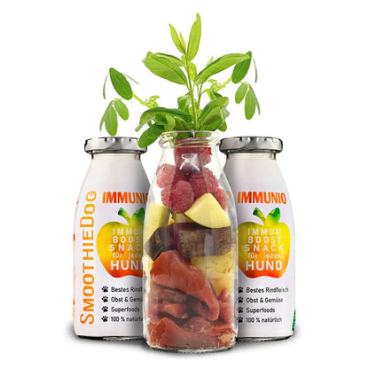 smoothie pour chien au boeuf - 100% naturel