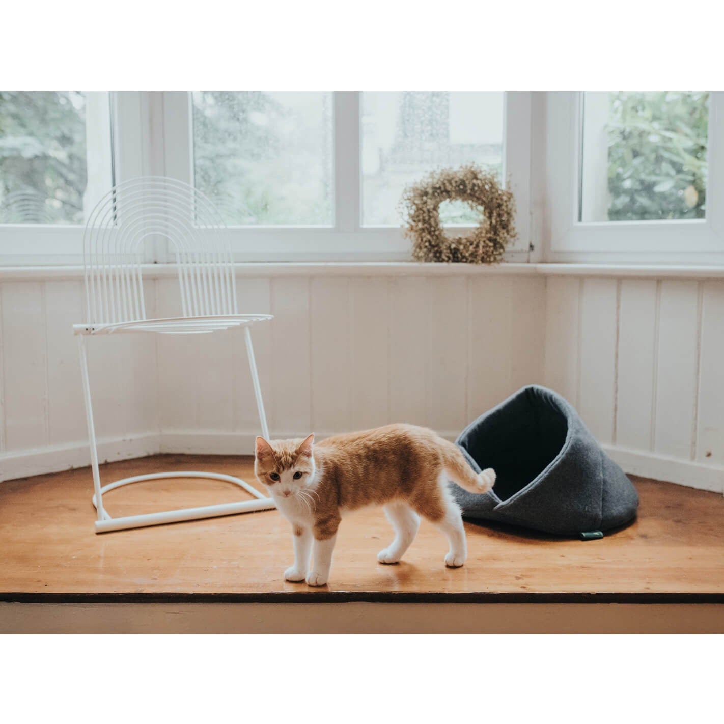 Coussin "grotte" pour chien et chat