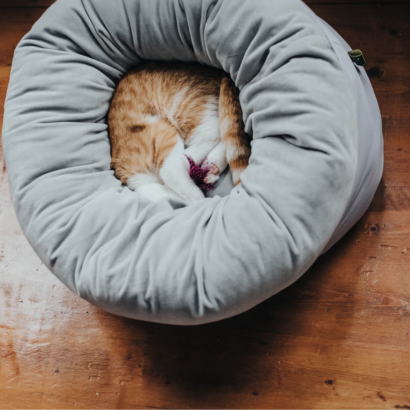 Pouf réversible chien et chat