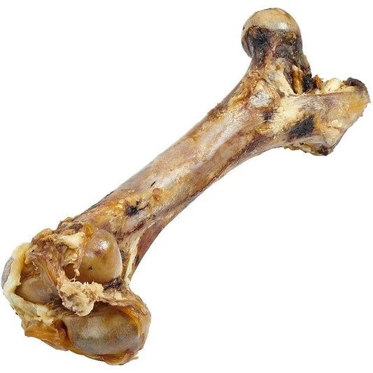 Fémur de porc à mâcher
