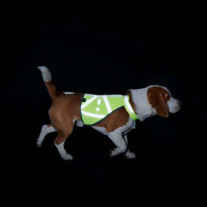 Gilet réfléchissant chien