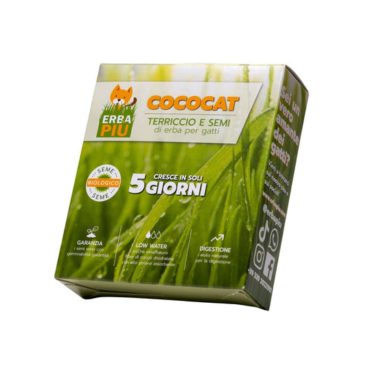 Cococat – Kit graine et coco deshydraté à planter