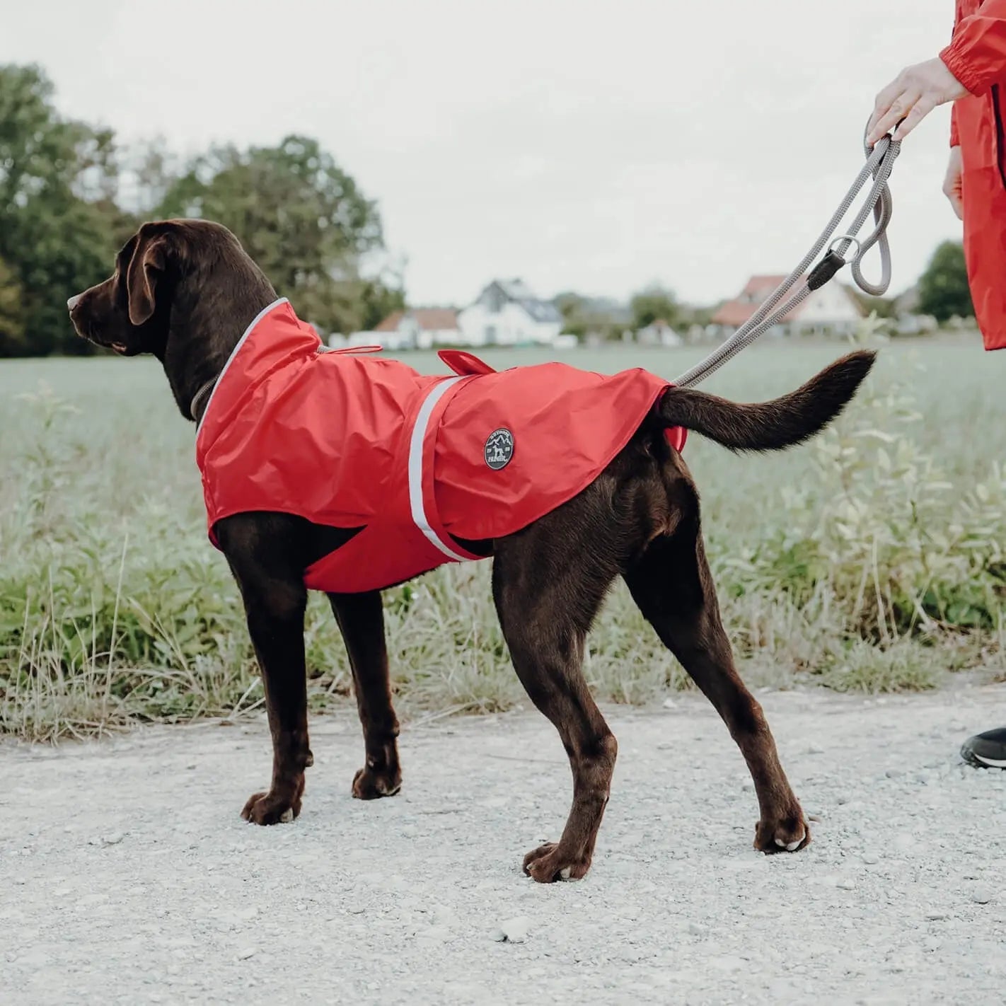 Imperméable pour chien