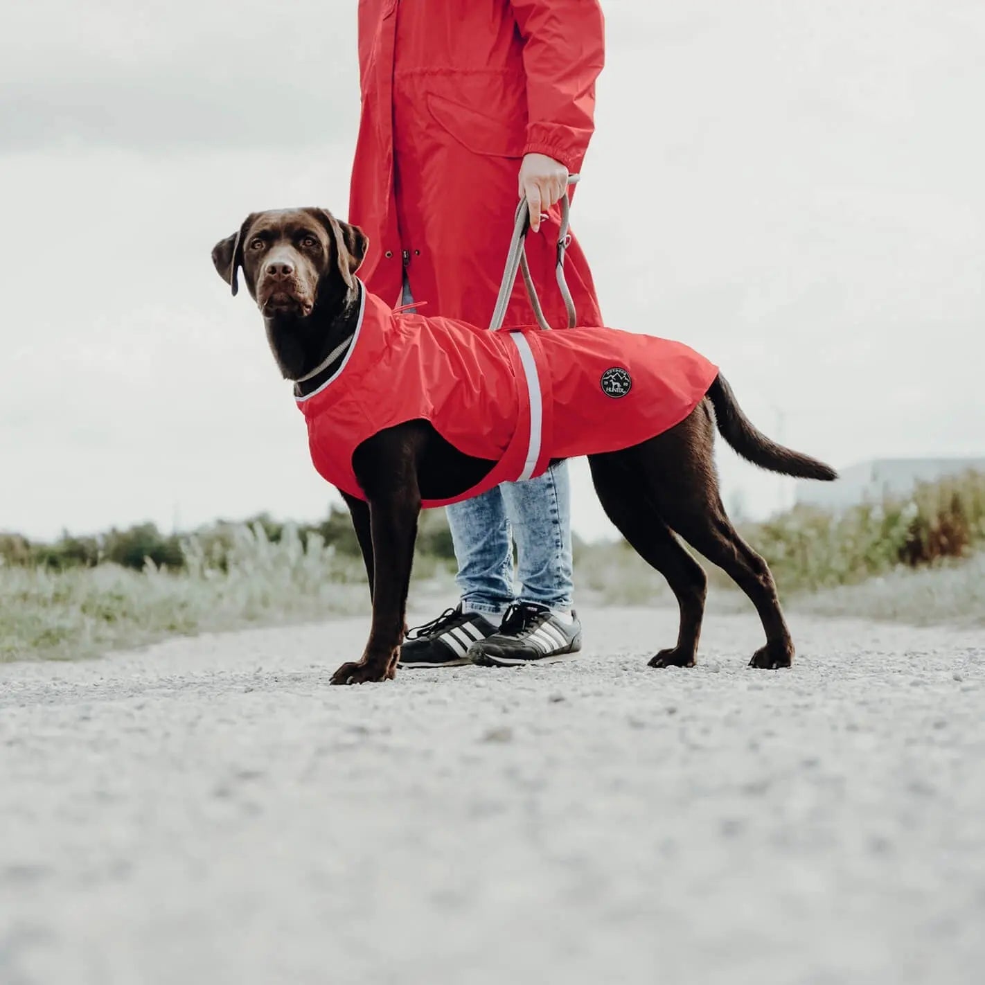 Imperméable pour chien