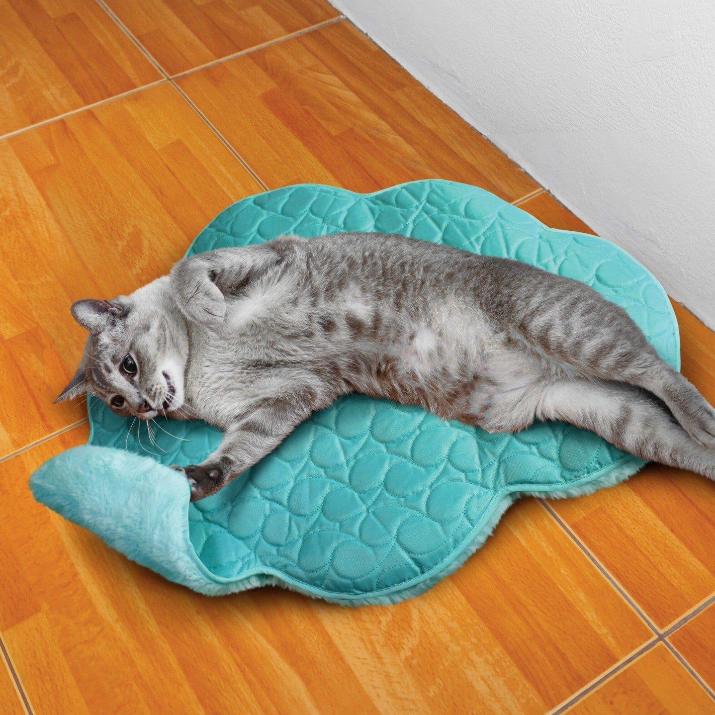Tapis de repos pour chat
